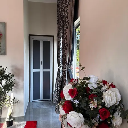 Roomstay Homestay Permai Inn Pekan Exterior photo
